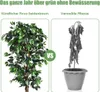 Plante d'intérieur décorative de 180 cm, plante Voir les images du produit 5