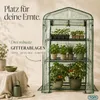 TOM Folien Gewächshaus | 0,3 m² | 140g/m² | Produktbild-Vorschau 3