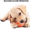 A puppy playing with a toy ball. Podgląd zdjęcia produktu