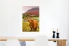 MuchoWow® Poster Schottisches Hochlandrind - Berg - Herbst Produktbild-Vorschau 5