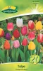Artikelbild 2 von 'Tulpe Triumph Mischung (20 Stück)' aus der Kategorie Tulpenzwiebeln Produktbild-Vorschau