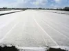 Gartenvlies Schutzvlies 3,2 x 100m Pflanzvlies zur Produktbild-Vorschau 4
