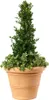 BAMA Pot de fleurs CHIANTI 50 cm Voir les images du produit 2