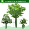 7er-Pack Baumstammschutz, Pflanzen-Baumschutz, Produktbild-Vorschau 3