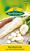 Wurzelpetersilie Alba | Petersilienwurzelsamen von Produktbild-Vorschau 4