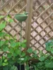 Vogeltränke auf Stab, Futterstelle, Gartenstab, Produktbild-Vorschau 3