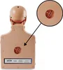 Pulox Trainingspuppe Practi-Man Advance mit Esmarch Produktbild-Vorschau 5