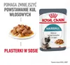 Royal Canin Hairball Care Gravy, Adult, jede Rasse, Muschel Produktbild-Vorschau 10