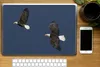 MuchoWow® Laptop Aufkleber Sticker Cover Weißkopfseeadler - Produktbild-Vorschau 2