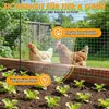 Izrielar Mobiler Hundezaun Weidezaun 115 cm x 25 m – Produktbild-Vorschau 8