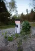 Star Trading LED Grabkerze, Gedenkkerze, Dandelion‘, Timer, Produktbild-Vorschau 8
