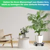 TolleTour WPC Pflanzenroller, für außen & innen, Produktbild-Vorschau 4