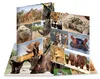 HERMA Eckspannermappe "Afrika Tiere" aus Karton DIN A4 Produktbild-Vorschau 8