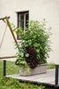 Plastia Berberis Trio selbstbewässernde Pflanzgefäße - Produktbild-Vorschau 3