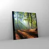 Bilder auf glas - Wald Blätter Sonne - 70x70cm - Glasbilder Produktbild-Vorschau 4