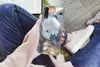 MuchoWow® Handyhülle Schutzhülle Hülle für Samsung Galaxy Produktbild-Vorschau 3