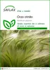 SAFLAX  - Orzo crinito - 70 semi - Hordeum Anteprima dell’immagine prodotto 1