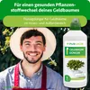 Purgrün Geldbaum-Dünger 1 Liter, Produktbild-Vorschau 2