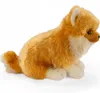 Carl Dick Spitz nano, cane di Pomerania seduto, cane, circa Anteprima dell’immagine prodotto 13