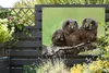 MuchoWow® Produktbild-Vorschau 5