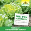 Neudorff Ferramol Schneckenkorn compact 700g für 280m² - Produktbild-Vorschau 6