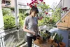 Gardena Ensemble d'outils pour balcons 8970-20 Voir les images du produit 25