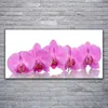 Tulup Leinwand-Bilder 120x60 Wandbild Canvas Kunstdruck Produktbild-Vorschau 2