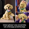 LEGO Icons 11384 Chiot Golden Retriever - Ensemble adulte - Voir les images du produit 24