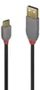 Lindy 0.5m USB 2.0 Type A to C Cable, Anthra Line Voir les images du produit 1