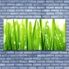 Glasbilder 140x70 Wandbild Druck auf Glas Gras Pflanzen Produktbild-Vorschau 2