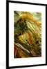 MuchoWow® Gerahmtes Poster Schöne Farbpalette von Produktbild-Vorschau 1