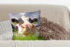 MuchoWow® Zierkissen Sofakissen Wohnzimmer Dekokissen 50x50 Produktbild-Vorschau 4