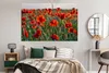MuchoWow® Poster Blumen - Mohnblumen - Natur - Rot 180x120 Produktbild-Vorschau 5