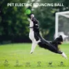 A dog jumping to catch a green ball in a grassy field. Náhled obrázku produktu