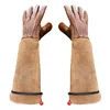 Gartenhandschuhe Damen/Herren -Dornenfest handschuhe Lang Produktbild-Vorschau 1