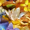 Guerlain Aqua Florabloom Edt Spray Refill Voir les images du produit 8