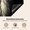 KitchenYeah© Herdabdeckplatte Löwe - Profil - Porträt , Produktbild-Vorschau 5