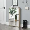 A shoe cabinet with mirrored doors is shown in a hallway next to a white door. There are plants on the cabinet and boots on the floor next to it. Anteprima dell’immagine prodotto