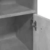 Close-up view of the interior of a gray cabinet, showing a shelf and a partially opened door with a metal hinge. Produktbild-Vorschau