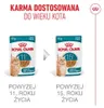 Royal Canin Ageing 11+ Nassfutter 24x85g Stückchen in Soße Produktbild-Vorschau 11