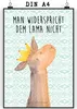 Mr. & Mrs. Panda Bild Lamakopf König DIN A4 - Aztekenblau - Produktbild-Vorschau 1