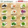 Toraf Gemüsesamen XXL Set 4500 Samen 12 Sorten Garten Produktbild-Vorschau 5