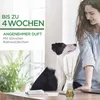 AIRWICK 3006562 AIRWICK Raumduft SOMMERVERGNÜGEN fruchtig Anteprima dell’immagine prodotto 7