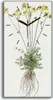 Küche Wohnzimmer Wand Leinwand Uhr 30x60 Gemälde Blumen Produktbild-Vorschau 1