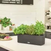 Samozavlažovací hrantík Lechuza Balconissima 40 cm sivý Náhľad obrázku produktu 20