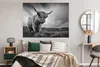 MuchoWow® Poster Kühe - Schottische Hochlandkühe - Natur - Produktbild-Vorschau 4