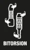 An instructional graphic showing two bits with arrows indicating rotational movement, along with the text "BITORSION". Produktbild-Vorschau