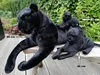 Panther Plüschtier 27cm Plüschtier Kuscheltiere Produktbild-Vorschau 2