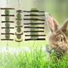 Kaninchen Kauspielzeug 11 Stück Hamster Spielzeug Apfelholz Produktbild-Vorschau 5