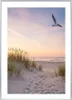A path through sand dunes leads to a beach at sunset, with a seagull flying in the sky. Produktbild-Vorschau